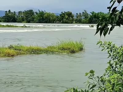 Kaveri River Drowning