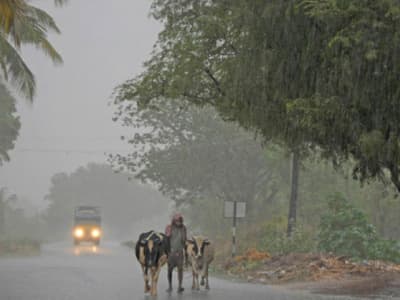 Tamil News Live Updates:  13 மாவட்டங்களில் இன்று கனமழைக்கு வாய்ப்பு