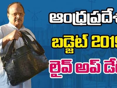 ఆంధ్రప్రదేశ్ బడ్జెట్ 2019: ముఖ్యాంశాలు