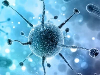 Malayalam News Highlights : നിപ സംശയം; കുട്ടികൾ ഗുരുതരാവസ്ഥയിൽ, യുവാവിന്റെ നില തൃപ്തികരം