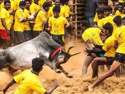 Asianet Tamil News Live: 2023ம் ஆண்டு திட்டமிட்டபடி ஜல்லிக்கட்டு நடக்கும் - தமிழக அரசு !!