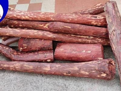 Tamil News Live Updates: செம்மரக்கட்டைகள் கடத்தல் - 25 தமிழர்கள் கைது