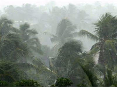 Malayalam News Highlights : സംസ്ഥാനത്ത് ഒറ്റപ്പെട്ടയിടങ്ങളിൽ ശക്തമായ മഴയ്ക്ക് സാധ്യത