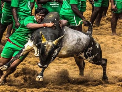 பாலமேடு ஜல்லிக்கட்டு கோலாகலமாக தொடங்கியது..