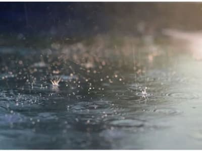 Malayalam News Highlights: സംസ്ഥാനത്ത് വരും ദിവസങ്ങളില് പരക്കെ മഴയ്ക്ക് സാധ്യത