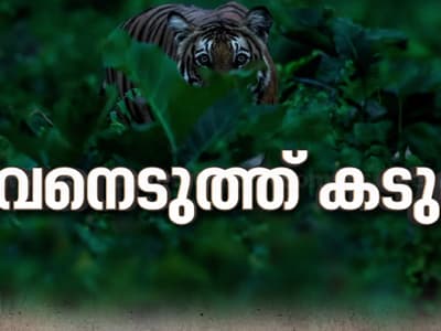 Malayalam News Highlights:  കടുവാപ്പേടിയിൽ മാനന്തവാടി, വെടിവെക്കാൻ ദൗത്യസംഘം; തെരച്ചിൽ