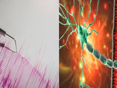 Telugu news updates:  రాష్ట్రం నుంచి కేంద్రం వరకు.. ఈ రోజు జరిగిన ప్రధాన సంఘటనలు