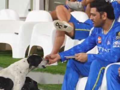 Tamil News Live today 18 March 2025: IPL 2025 : தெரு நாய்க்கு உணவளித்த தோனியின் வீடியோ வைரல்; Watch Video!