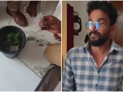 Malayalam News Live: വീടിന്റെ രണ്ടാം നിലയിലെ കിടപ്പുമുറിയിൽ ചെന്നുനോക്കിയപ്പോൾ ചെടിച്ചട്ടികൾ; 32കാരന്റെ  കഞ്ചാവ് കൃഷി പിടികൂടി