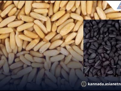 Karnataka News Live: ಈ ಬೀಜಗಳು ಕೋಳಿ, ಕುರಿ ಮಾಂಸಕ್ಕಿಂತ 10 ಪಟ್ಟು ಹೆಚ್ಚು ಶಕ್ತಿಶಾಲಿ!