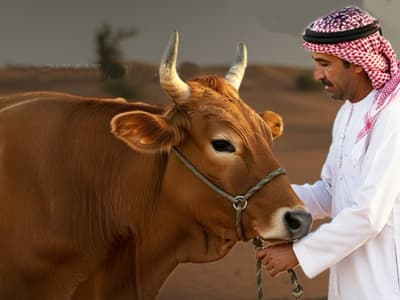 Tamil News Live today 05 May 2025: அரபு நாடுகளுக்கு இந்திய மாட்டுச் சாணம் ஏற்றுமதி ஏன்? 