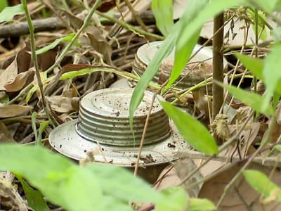 Malayalam news: കണ്ണൂരിൽ മണ്ണിൽ ചവിട്ടുമ്പോൾ കരുതണമെന്ന ഉപദേശത്തിന് ഇതാ ഒരു തെളിവ് കൂടി; തെങ്ങിൻതോപ്പിൽ കണ്ടെത്തിയത് 2 ബോംബുകൾ