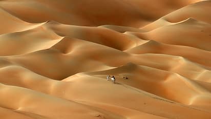 Emirati travels with his camels across the Hameem desert