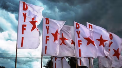 dyfi flag