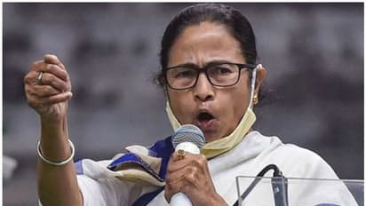 mamatha banerjee mamatha banerjee