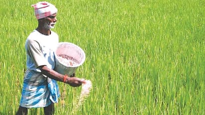 Raids seize illegal fertilizers in Karnataka