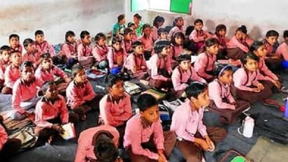 primary schools of UP