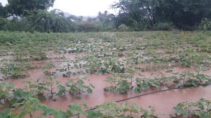 Karnataka Rain Karnataka Rain