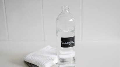  vinegar 
