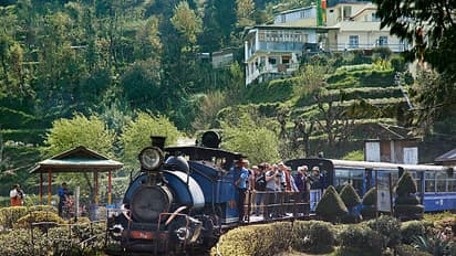 darjeeling toy train