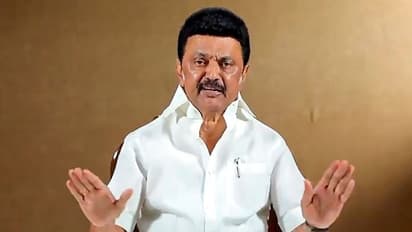 mk stalin chief minister