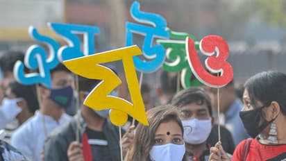 International Mother Language Day 2024 Know how many people speak Bengali in the world and in the country bsm