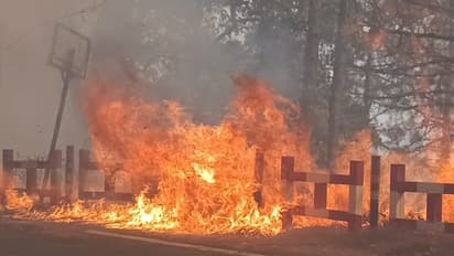 Nainital forest fire Top 10 updates IAF helicopter deployed to fight the fire bsm Nainital forest fire Top 10 updates IAF helicopter deployed to fight the fire bsm