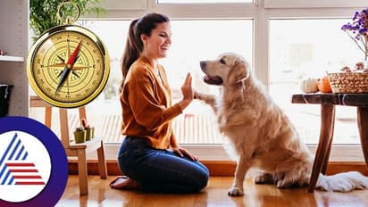 Vaastu tips for pet animals in home