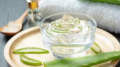 6 Aloe vera hair mask