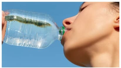 plastic bottle