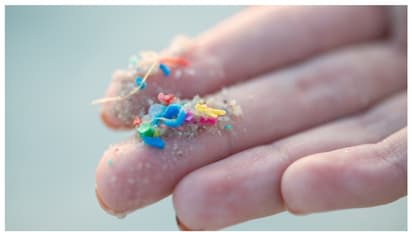 Microplastics