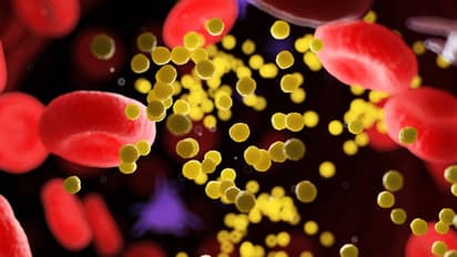 fennel seeds helps in loweing high cholesterol levels