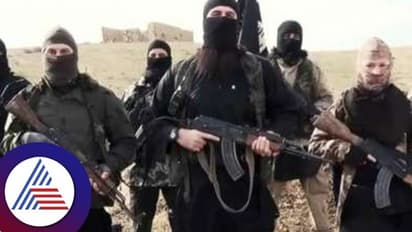ISIS ISIS