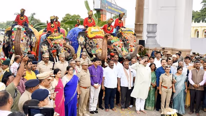 Dasara Elephants Dasara Elephants
