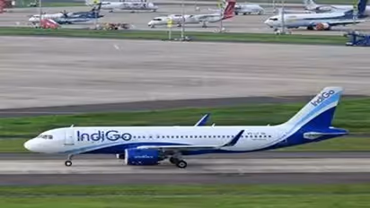 Indigo flight