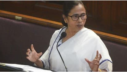 Mamata