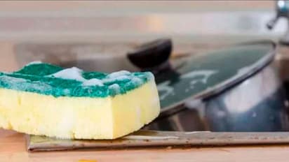 kitchen sponge