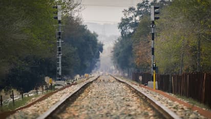 Train Train