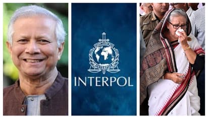 Bangladesh Tribunal applied to Interpol for red alert to return Sheikh Hasina bsm