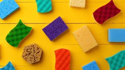 Clean kitchen sponge with vinegar