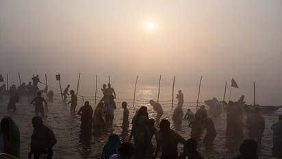 makar sankranti 2025