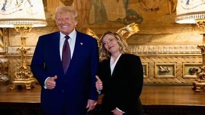 Donald Trump Giorgia Meloni