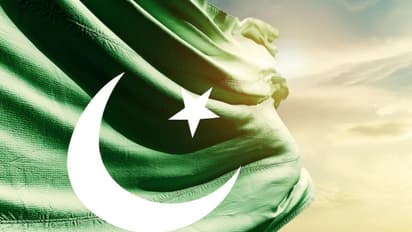 Pakistan flag