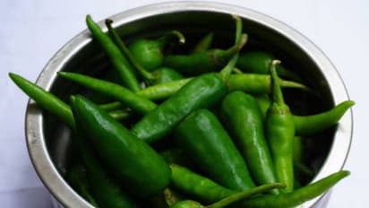 Karaikudi special spicy green chilli thokku