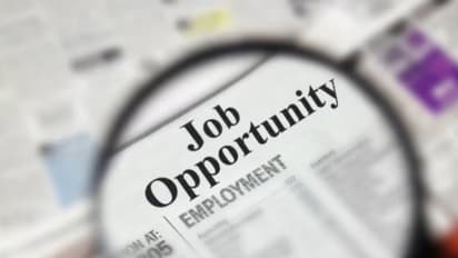 Job Opportunity