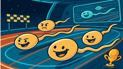 Sperm race