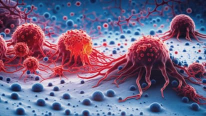 repair cancer cells
