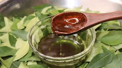 how to use curry leaves and coconut oil for hair