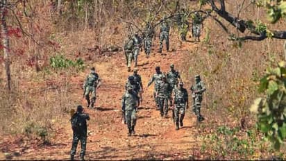 jharkhand naxal encounter pappu lohara prabhat ganjhu killed latehar 10 lakh reward