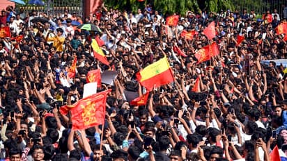 RCB celebration bengaluru Photo